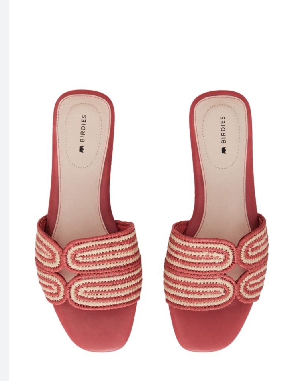 Birdies The Kiwi - Terra Cotta Raffia 8 NEW